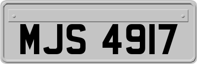 MJS4917