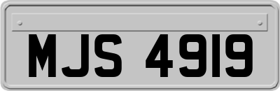 MJS4919