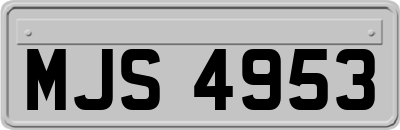 MJS4953