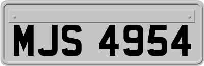 MJS4954