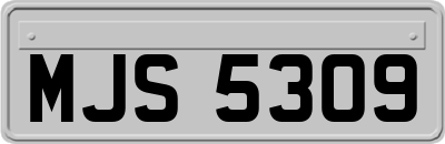 MJS5309