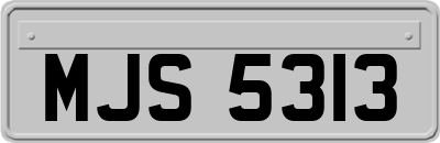 MJS5313