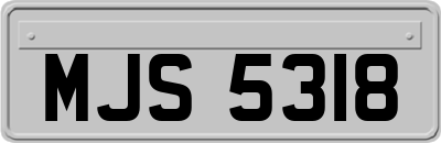 MJS5318