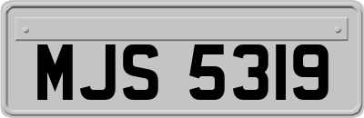 MJS5319