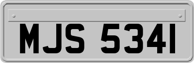 MJS5341