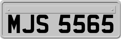 MJS5565