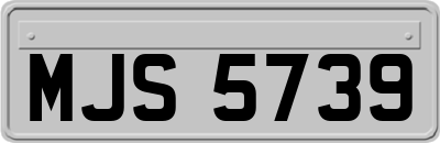 MJS5739