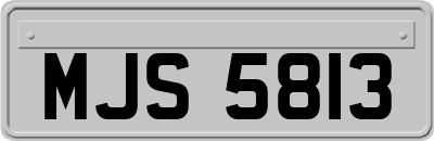 MJS5813