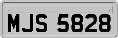 MJS5828