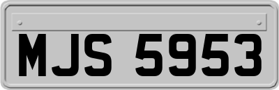 MJS5953