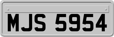 MJS5954