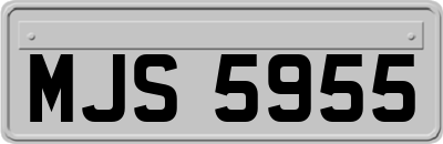 MJS5955
