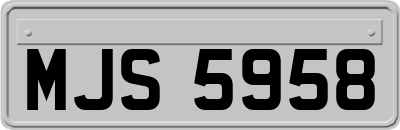 MJS5958