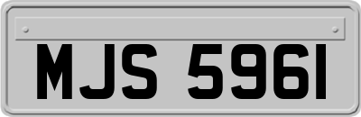 MJS5961