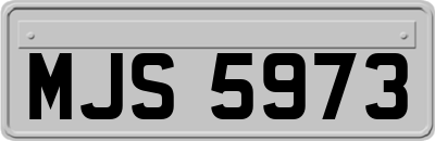 MJS5973