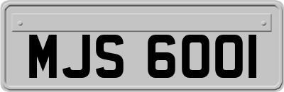MJS6001