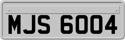 MJS6004