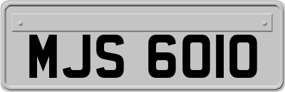 MJS6010