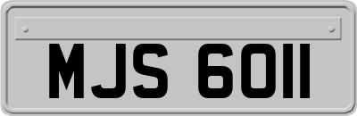 MJS6011
