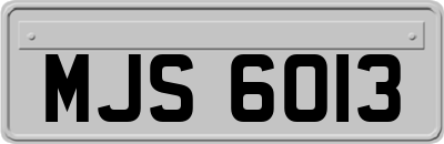MJS6013