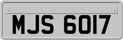 MJS6017