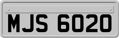 MJS6020