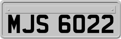 MJS6022