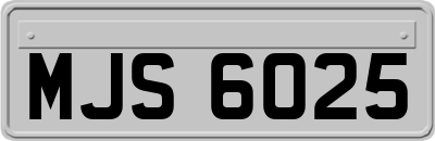 MJS6025