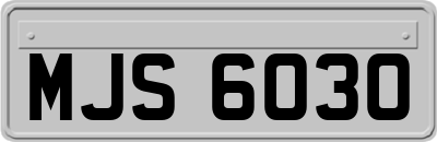 MJS6030