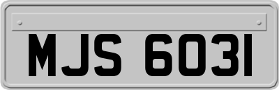 MJS6031