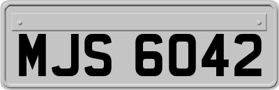 MJS6042