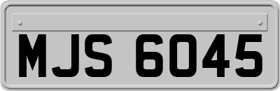 MJS6045