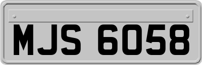 MJS6058