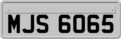 MJS6065