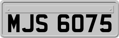 MJS6075