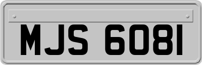 MJS6081