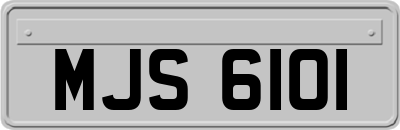 MJS6101