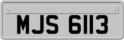 MJS6113