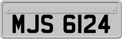 MJS6124