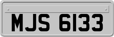 MJS6133