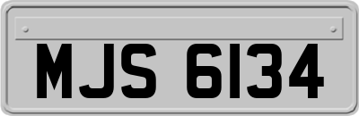 MJS6134