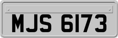 MJS6173