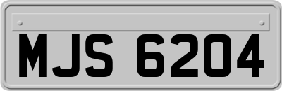 MJS6204