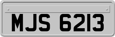 MJS6213
