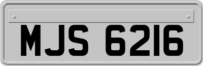 MJS6216