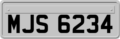 MJS6234