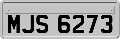 MJS6273