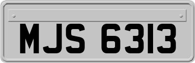 MJS6313