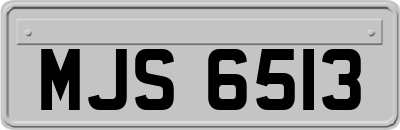 MJS6513