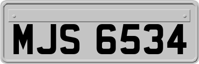 MJS6534